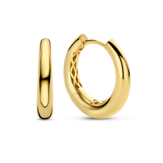 Gold Hoop Earrings 14KY  750.00