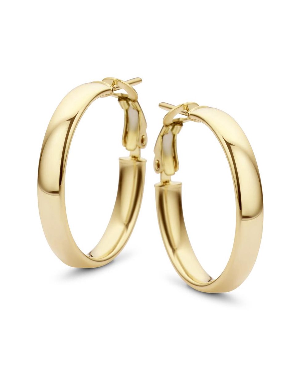 Gold Hoop Earrings 14KY 550.00