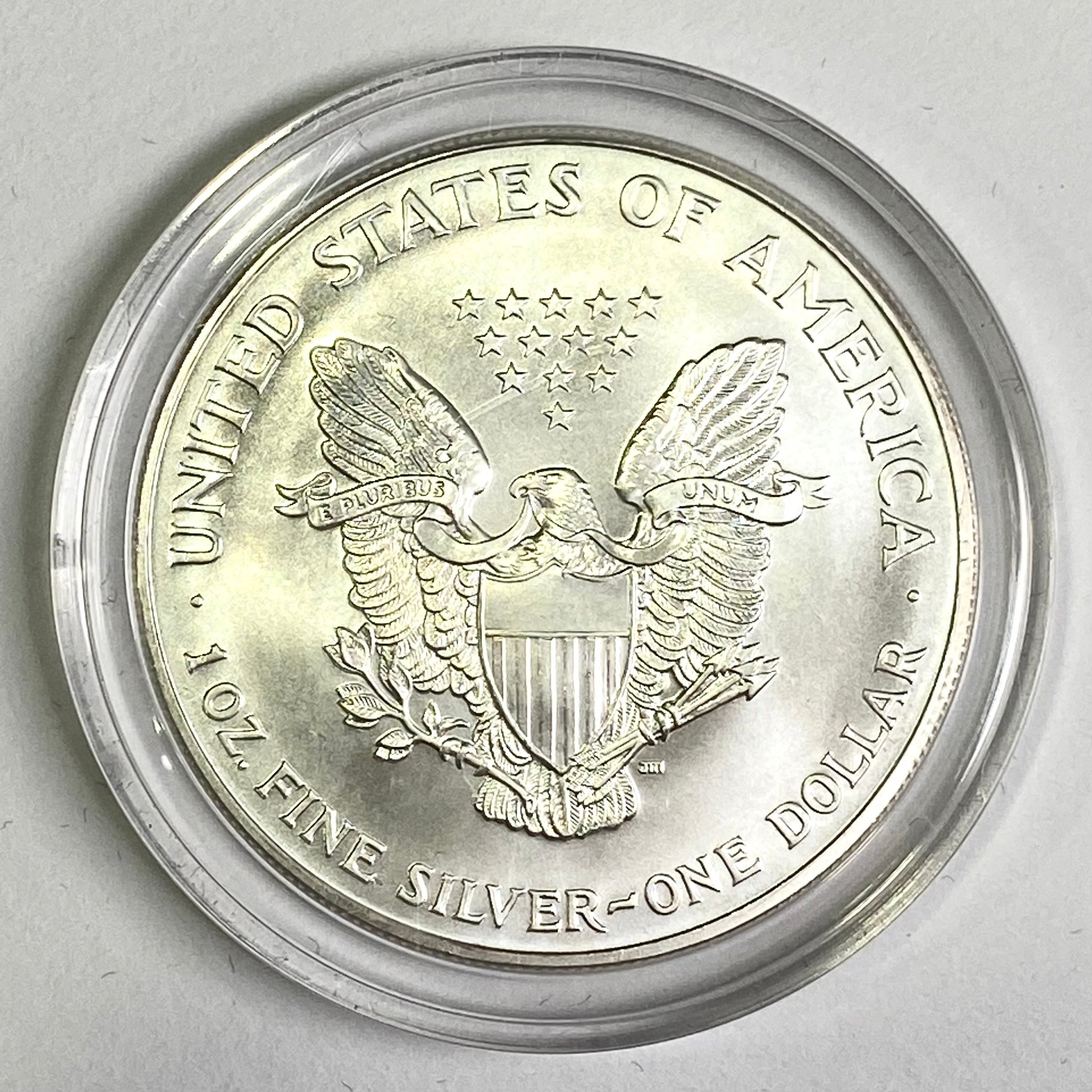 1999 Painted Silver Dollar 300.00