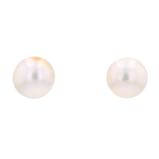 Pearl Akoya Earrings 10.5mm 14k White Gold 945.00